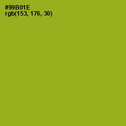 #99B01E - Citron Color Image
