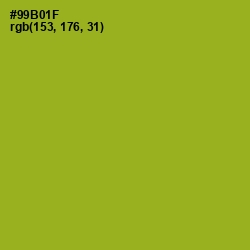 #99B01F - Citron Color Image