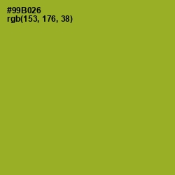 #99B026 - Sushi Color Image