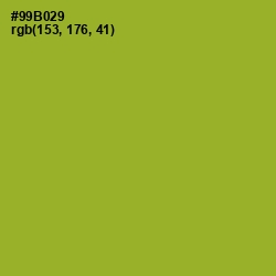 #99B029 - Sushi Color Image