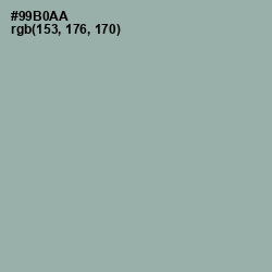 #99B0AA - Summer Green Color Image