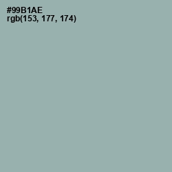 #99B1AE - Summer Green Color Image