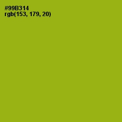 #99B314 - Citron Color Image