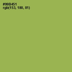 #99B451 - Chelsea Cucumber Color Image