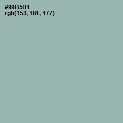 #99B5B1 - Summer Green Color Image