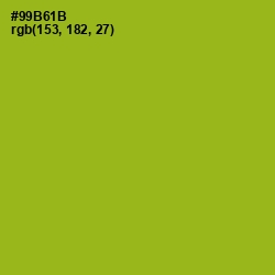 #99B61B - Citron Color Image