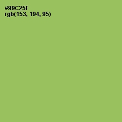 #99C25F - Celery Color Image