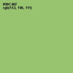 #99C46F - Wild Willow Color Image