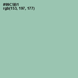 #99C5B1 - Shadow Green Color Image