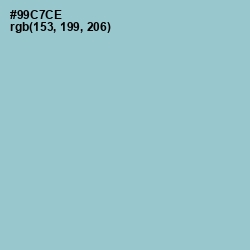 #99C7CE - Sinbad Color Image