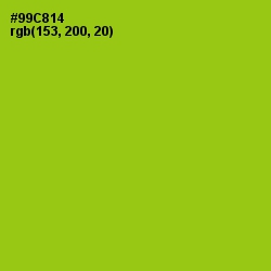 #99C814 - Pistachio Color Image