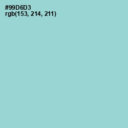 #99D6D3 - Sinbad Color Image