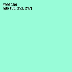 #99FCD9 - Riptide Color Image