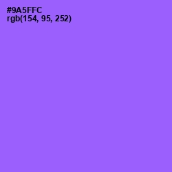 #9A5FFC - Medium Purple Color Image