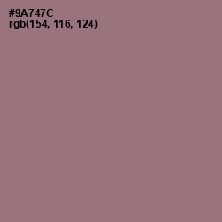 #9A747C - Bazaar Color Image