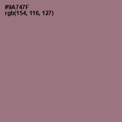 #9A747F - Bazaar Color Image