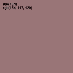 #9A7578 - Bazaar Color Image