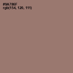 #9A786F - Almond Frost Color Image