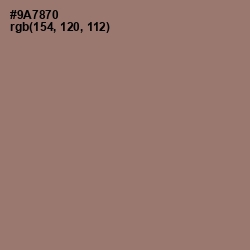 #9A7870 - Almond Frost Color Image