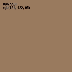 #9A7A5F - Leather Color Image