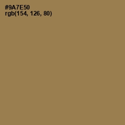 #9A7E50 - Leather Color Image