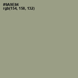 #9A9E84 - Lemon Grass Color Image