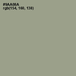 #9AA08A - Sage Color Image