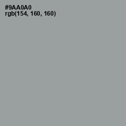 #9AA0A0 - Pewter Color Image