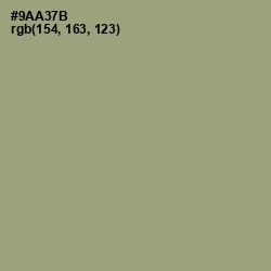 #9AA37B - Olivine Color Image