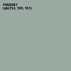 #9AA9A1 - Pewter Color Image