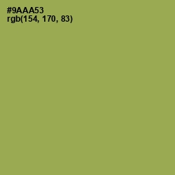 #9AAA53 - Chelsea Cucumber Color Image