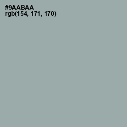 #9AABAA - Pewter Color Image