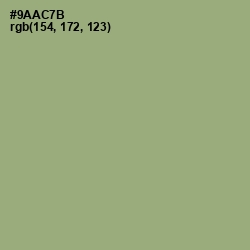 #9AAC7B - Olivine Color Image