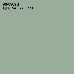 #9AAC9B - Envy Color Image