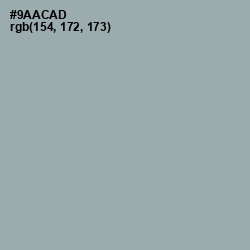 #9AACAD - Pewter Color Image