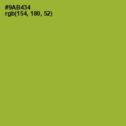 #9AB434 - Sushi Color Image