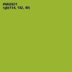 #9AB631 - Sushi Color Image