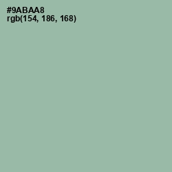 #9ABAA8 - Summer Green Color Image