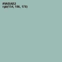 #9ABAB2 - Summer Green Color Image