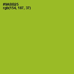 #9ABB25 - Sushi Color Image