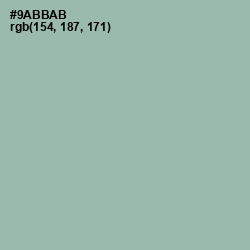 #9ABBAB - Summer Green Color Image