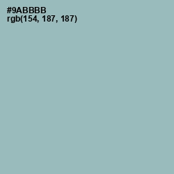 #9ABBBB - Gull Gray Color Image