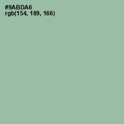 #9ABDA6 - Summer Green Color Image
