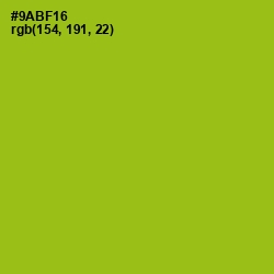 #9ABF16 - Citron Color Image