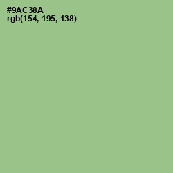 #9AC38A - Feijoa Color Image