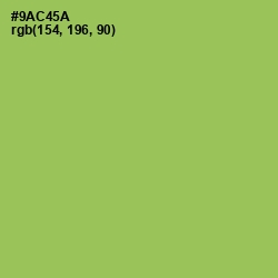 #9AC45A - Celery Color Image