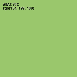 #9AC76C - Wild Willow Color Image