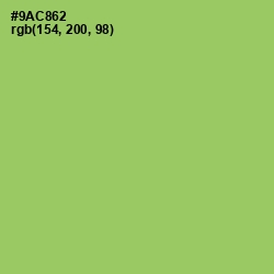 #9AC862 - Celery Color Image