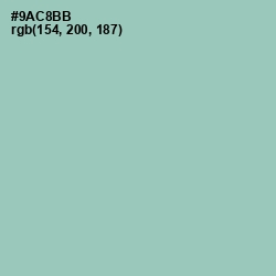 #9AC8BB - Shadow Green Color Image
