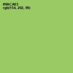 #9ACA63 - Celery Color Image